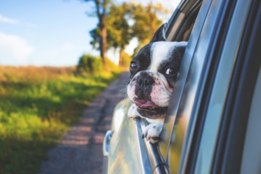 ¿Ya tienes tu coche a punto para las vacaciones?