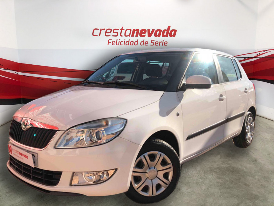 Imagen de Skoda Fabia