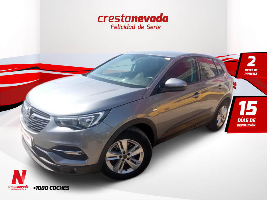 Imagen de Opel Grandland X