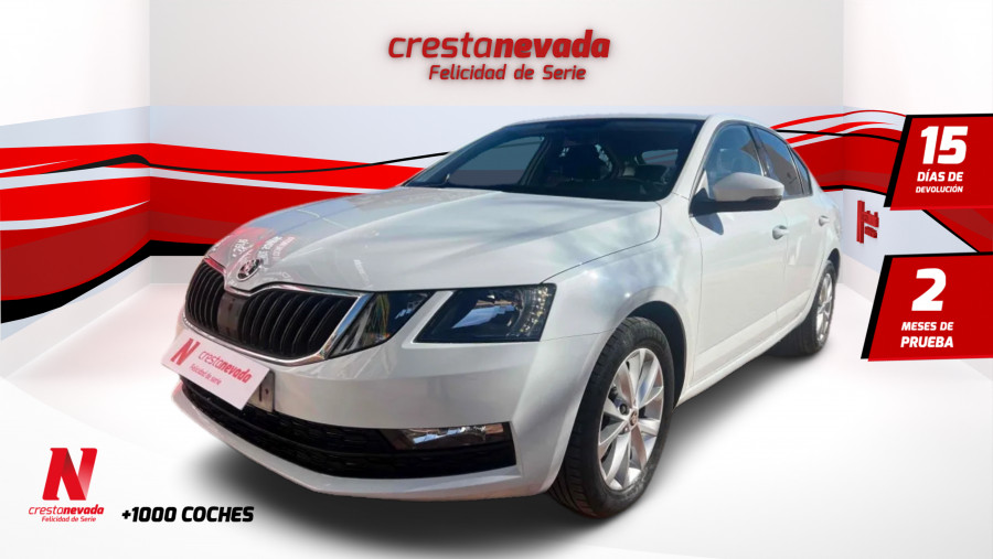 Imagen de Skoda Octavia