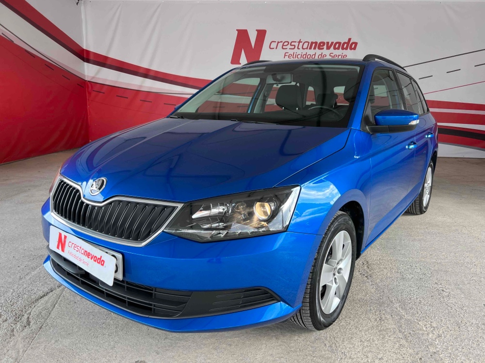 Imagen de Skoda Fabia