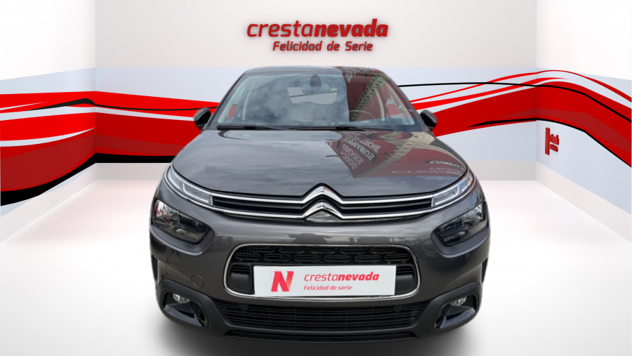 Imagen de CITROEN C4 Cactus