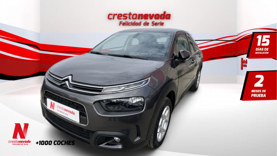 Imagen de CITROEN C4 Cactus