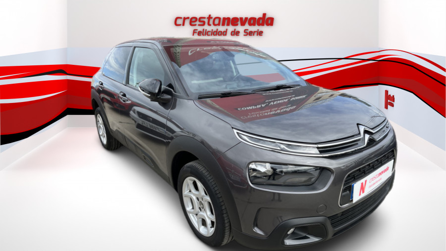 Imagen de CITROEN C4 Cactus