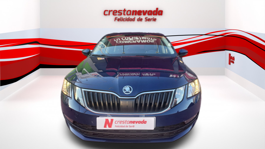 Imagen de Skoda Octavia