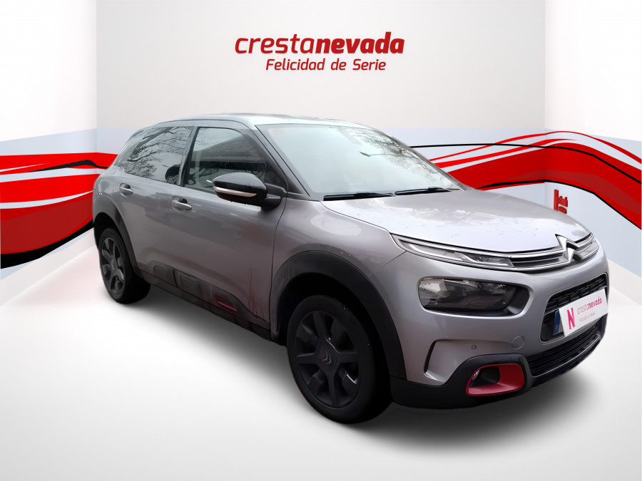 Imagen de CITROEN C4 Cactus
