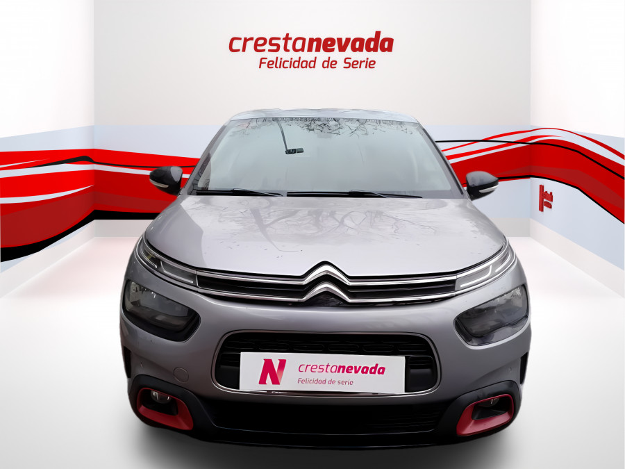 Imagen de CITROEN C4 Cactus