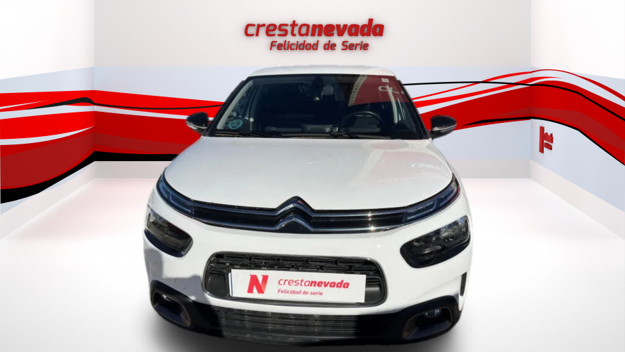 Imagen de CITROEN C4 Cactus