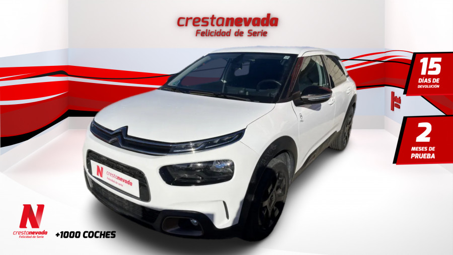 Imagen de CITROEN C4 Cactus