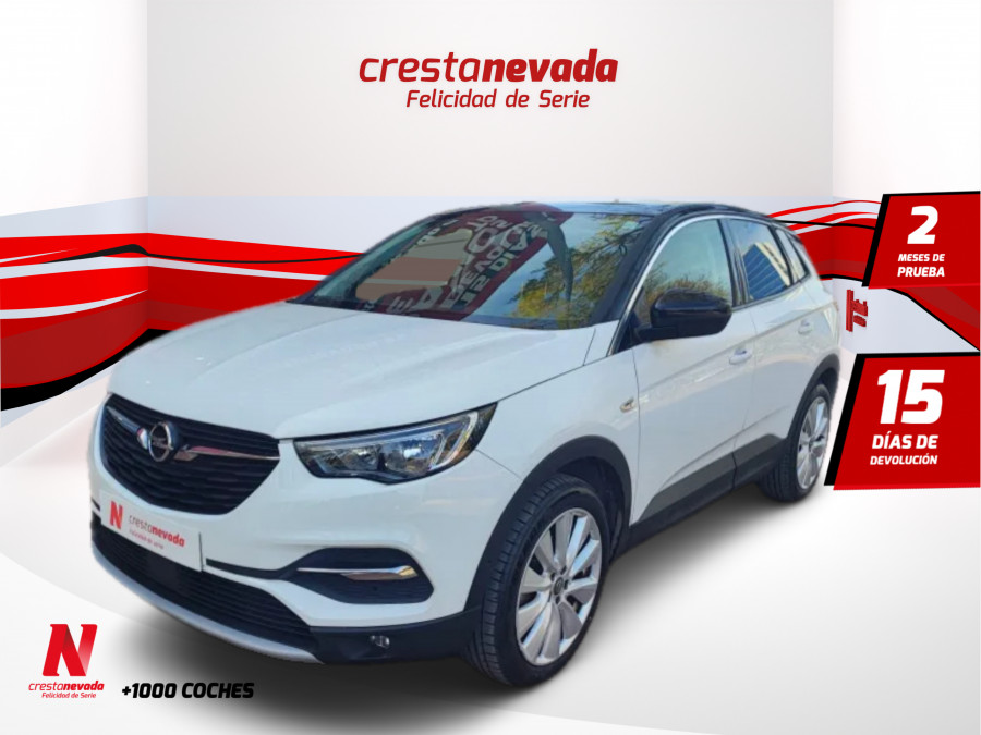 Imagen de Opel Grandland X