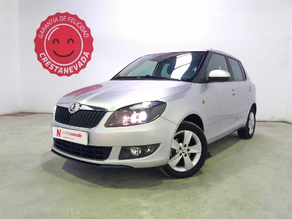 Imagen de Skoda Fabia