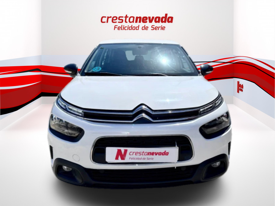 Imagen de CITROEN C4 Cactus