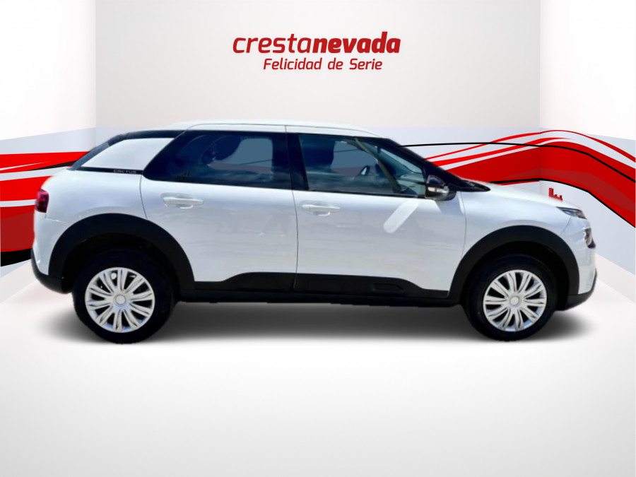 Imagen de CITROEN C4 Cactus