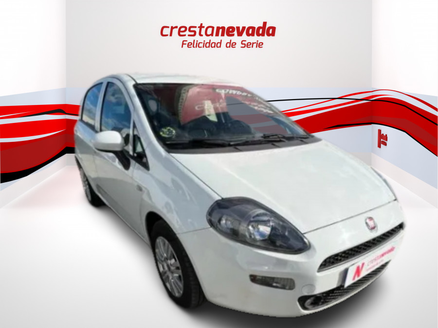 Imagen de Fiat Punto