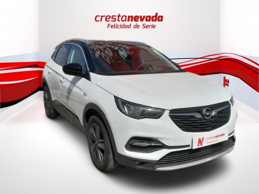 Imagen de Opel Grandland X