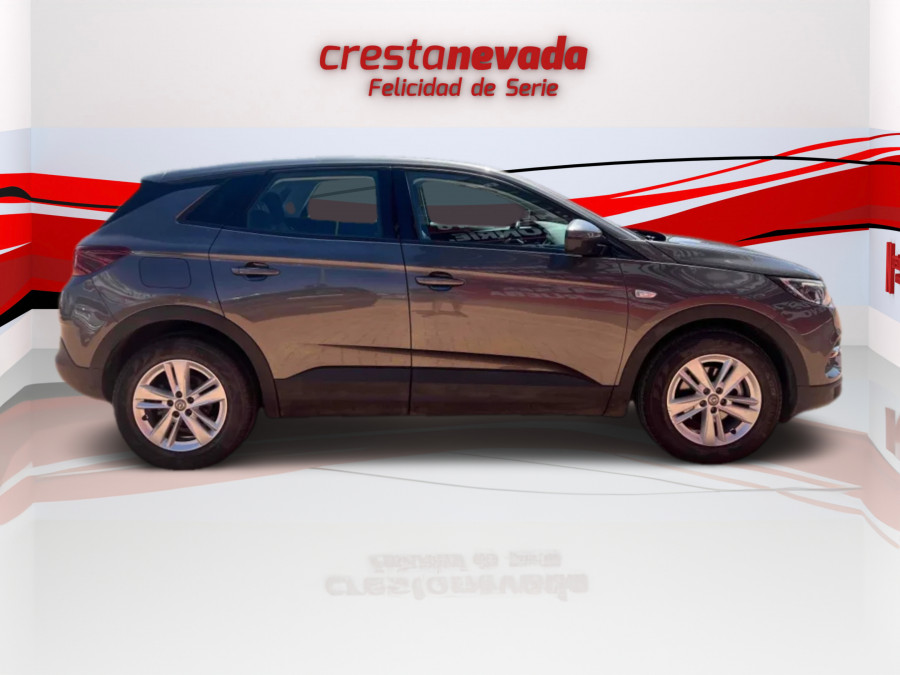 Imagen de Opel Grandland X