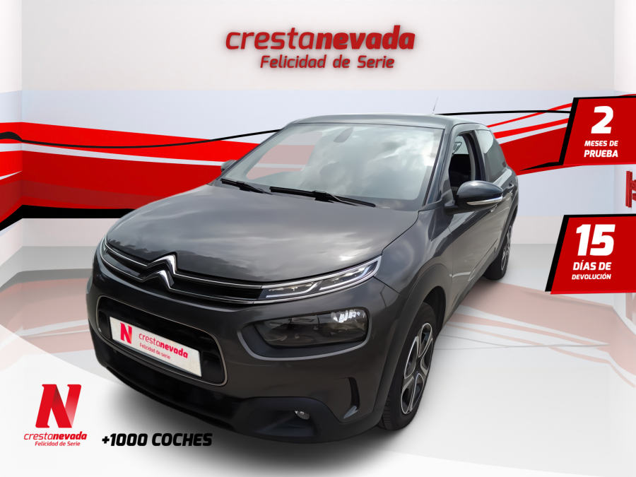 Imagen de CITROEN C4 Cactus