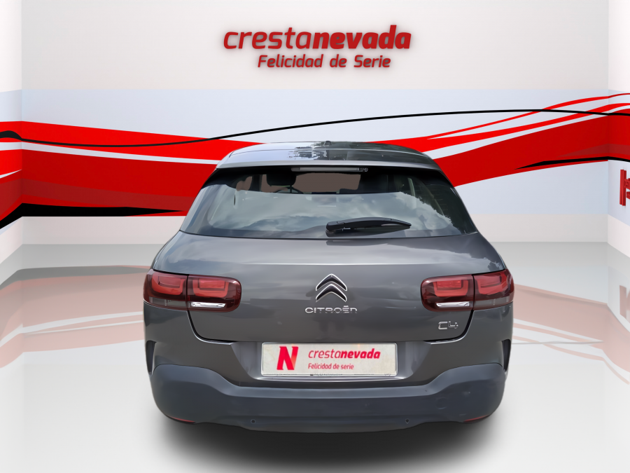 Imagen de CITROEN C4 Cactus