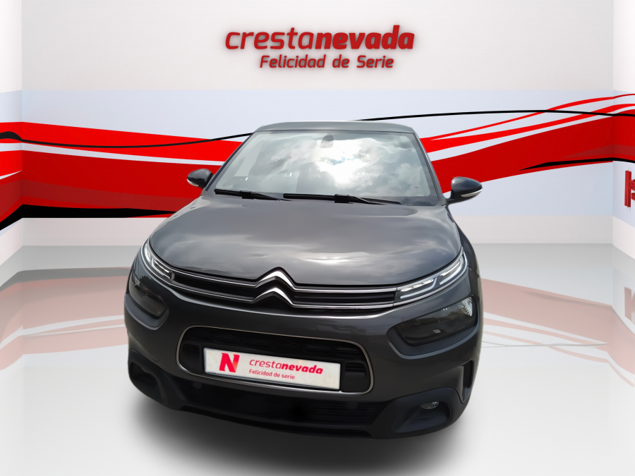 Imagen de CITROEN C4 Cactus