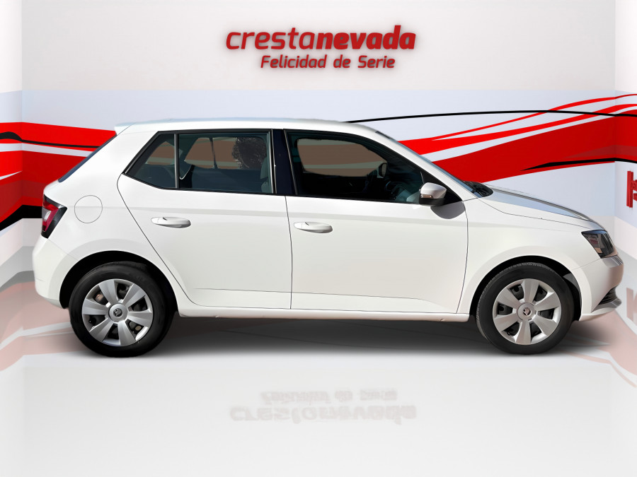 Imagen de Skoda Fabia