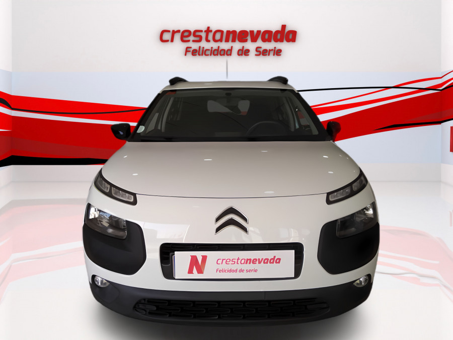 Imagen de CITROEN C4 Cactus