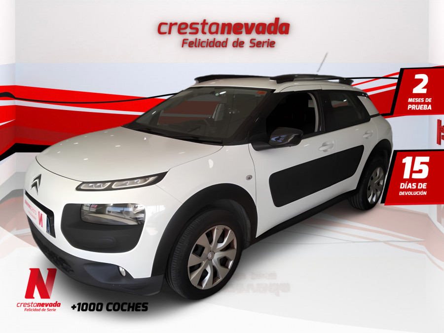Imagen de CITROEN C4 Cactus
