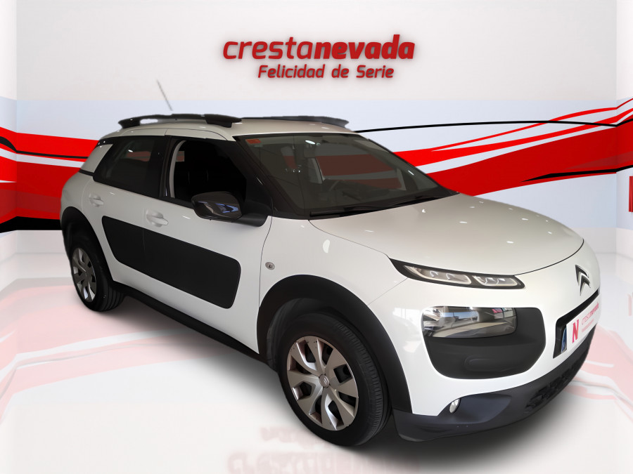 Imagen de CITROEN C4 Cactus