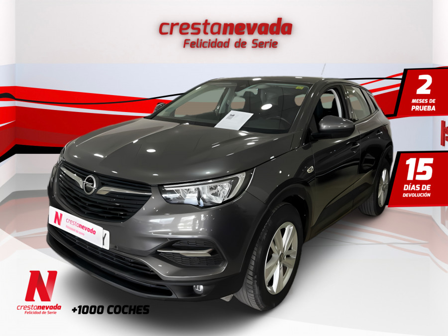 Imagen de Opel Grandland X