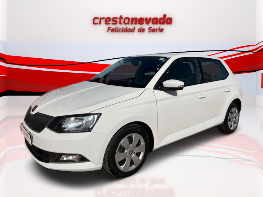 Imagen de Skoda Fabia