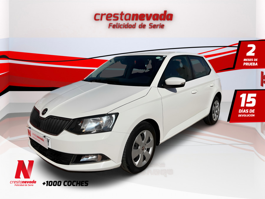 Imagen de Skoda Fabia