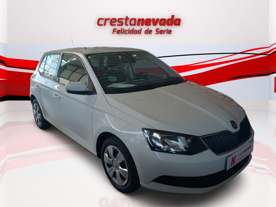 Imagen de Skoda Fabia