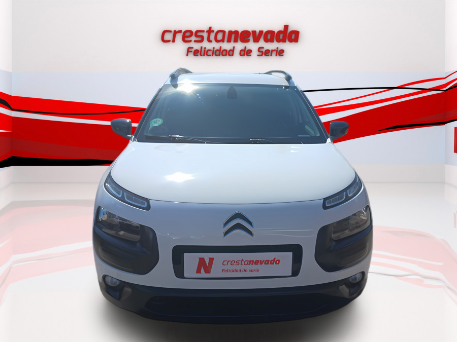 Imagen de CITROEN C4 Cactus