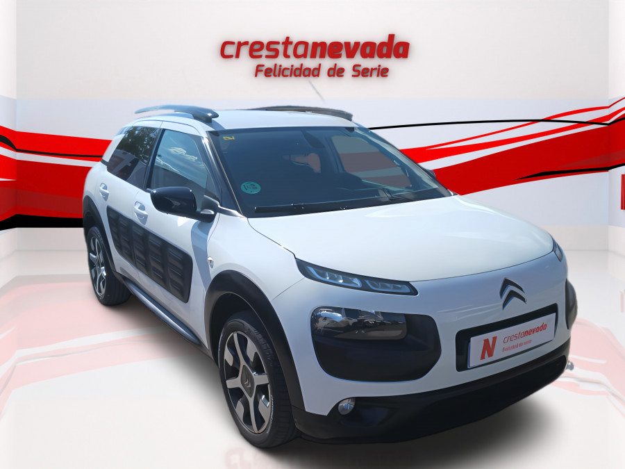 Imagen de CITROEN C4 Cactus