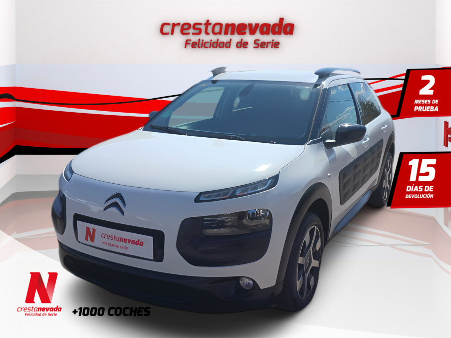 Imagen de CITROEN C4 Cactus