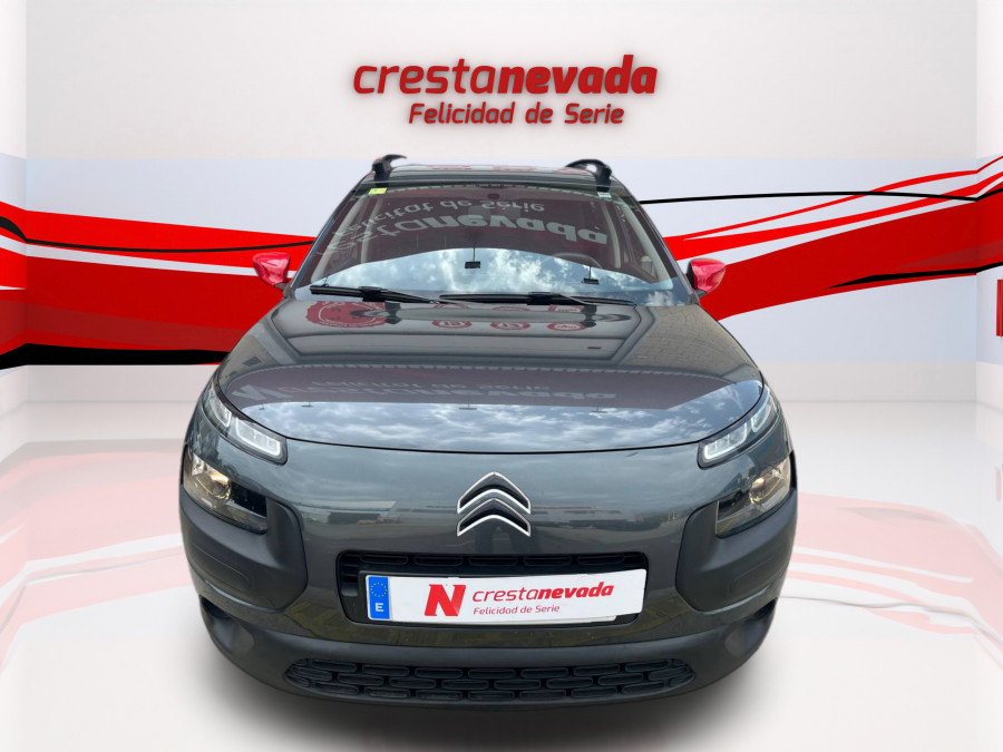 Imagen de CITROEN C4 Cactus