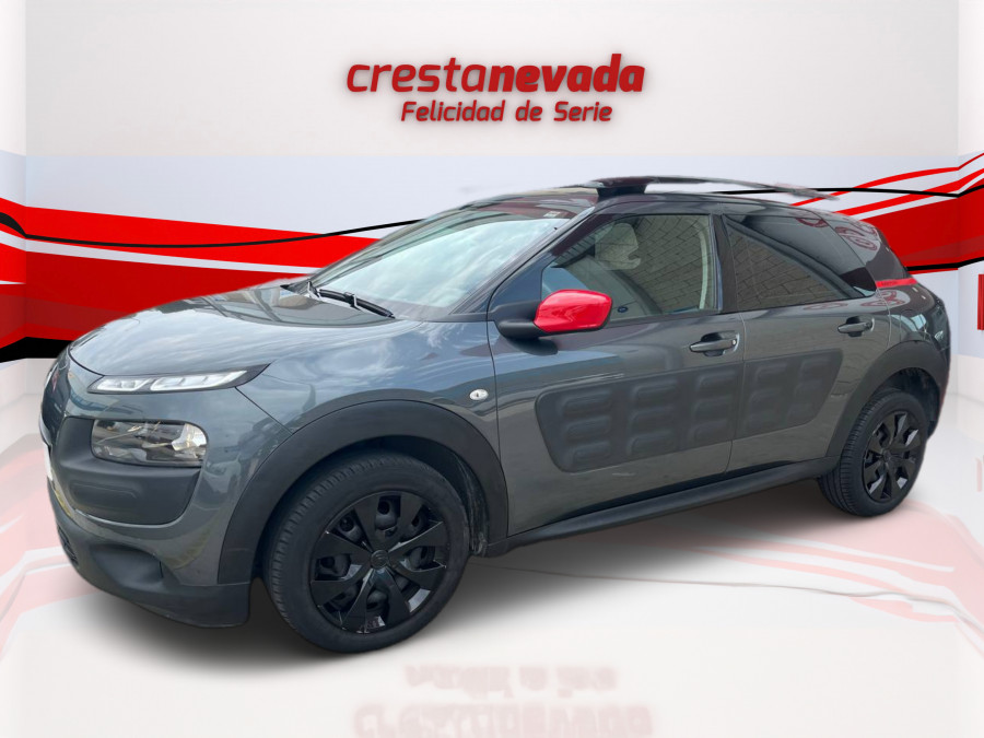 Imagen de CITROEN C4 Cactus