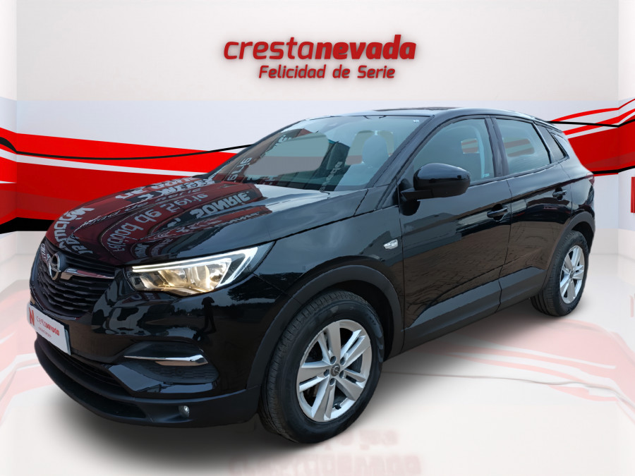 Imagen de Opel Grandland X