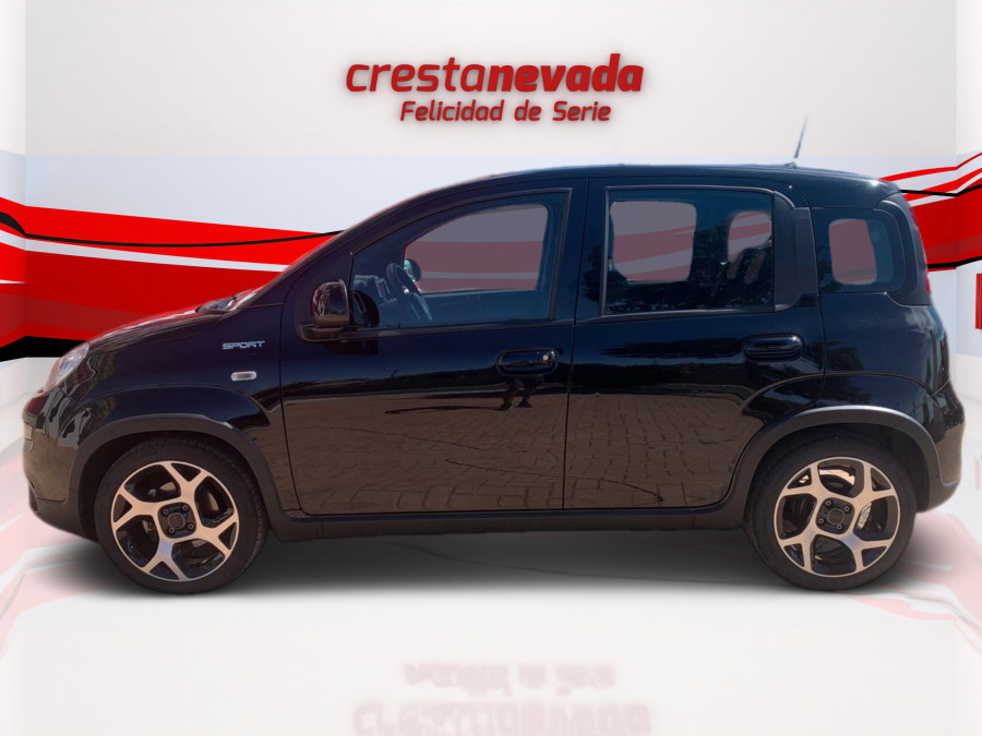 Imagen de Fiat Panda