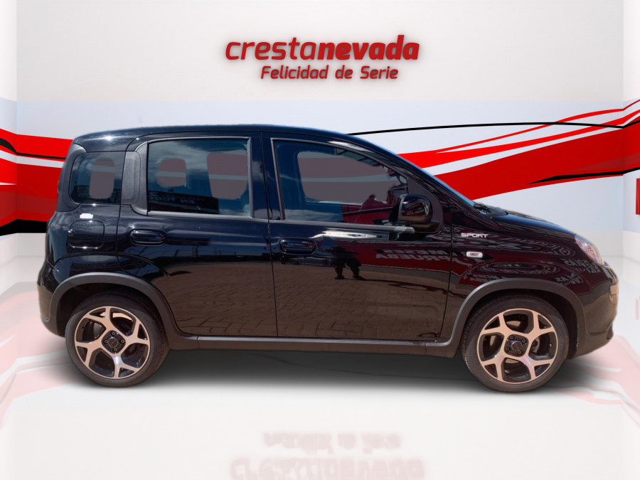 Imagen de Fiat Panda