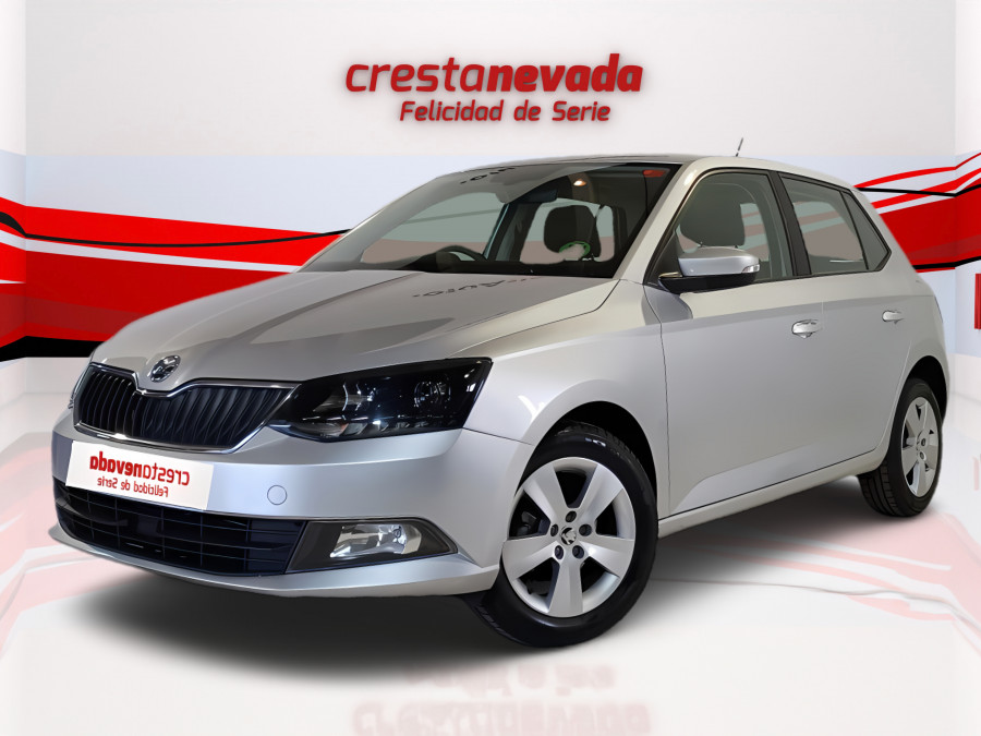 Imagen de Skoda Fabia