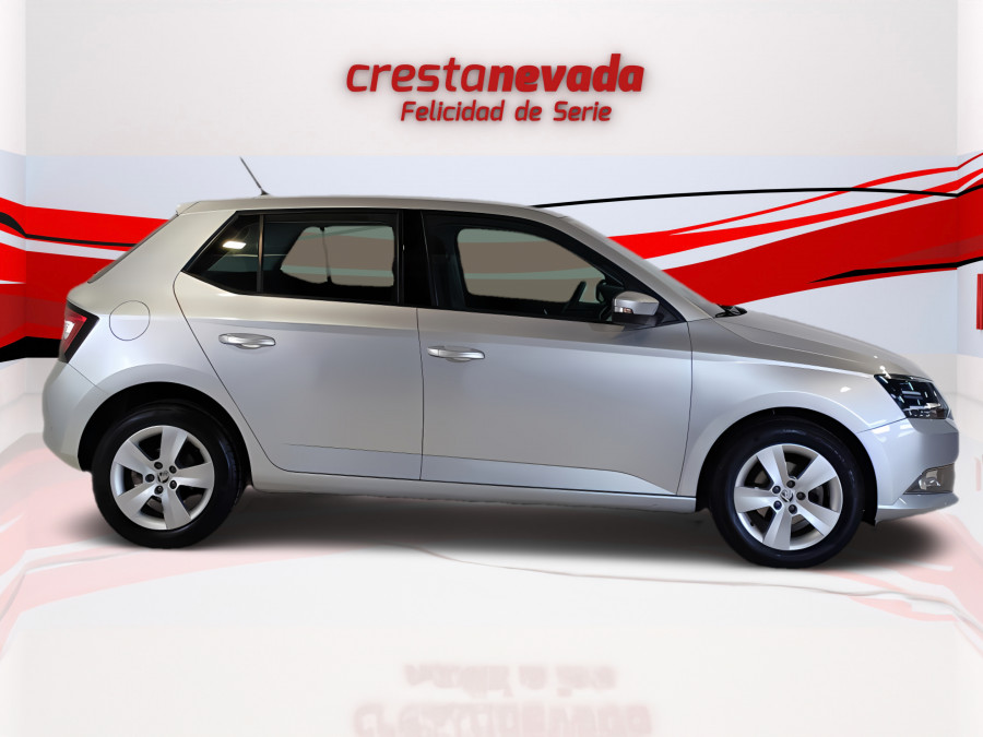 Imagen de Skoda Fabia