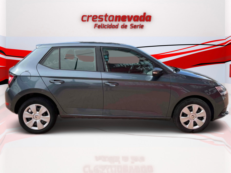 Imagen de Skoda Fabia