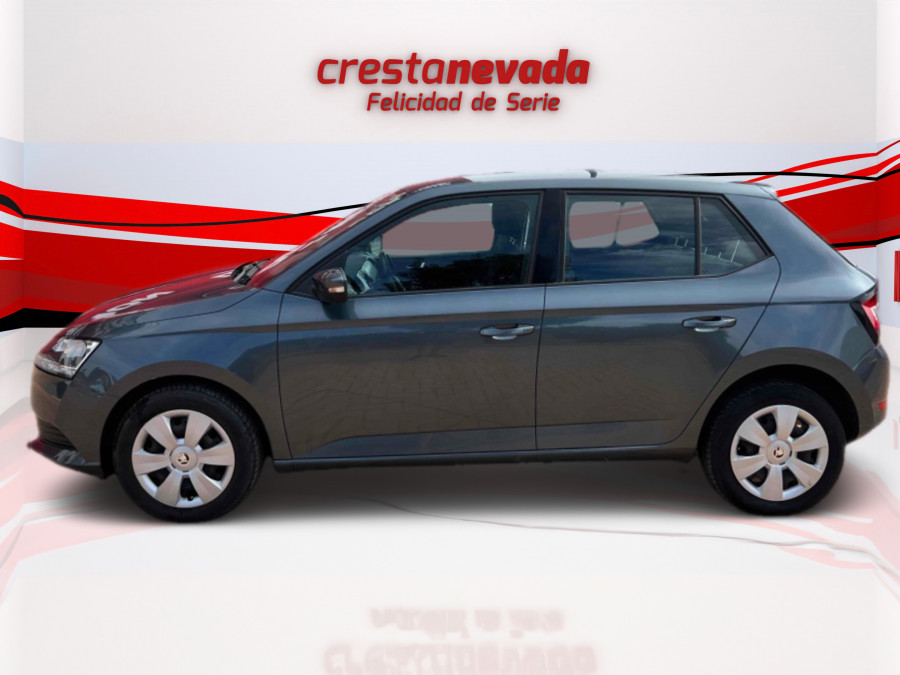 Imagen de Skoda Fabia