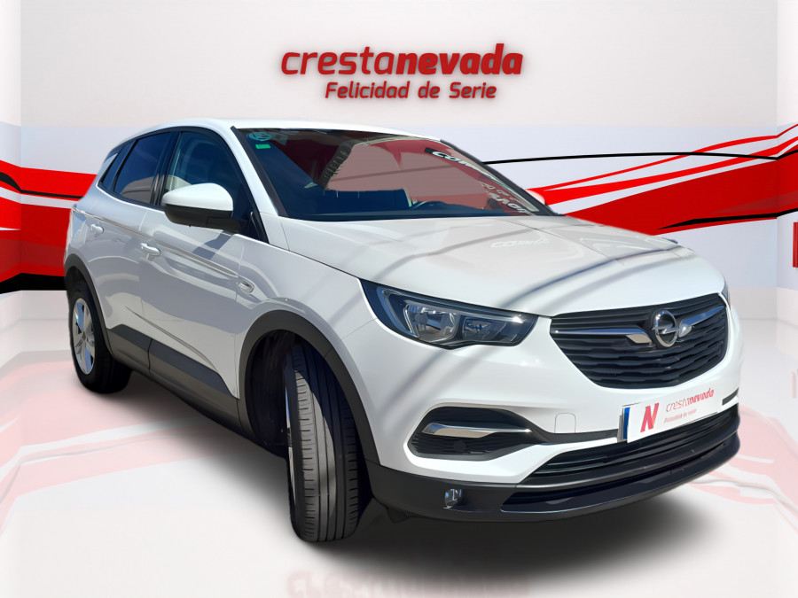 Imagen de Opel Grandland X