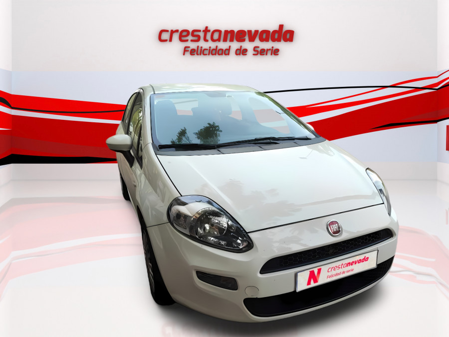 Imagen de Fiat Punto