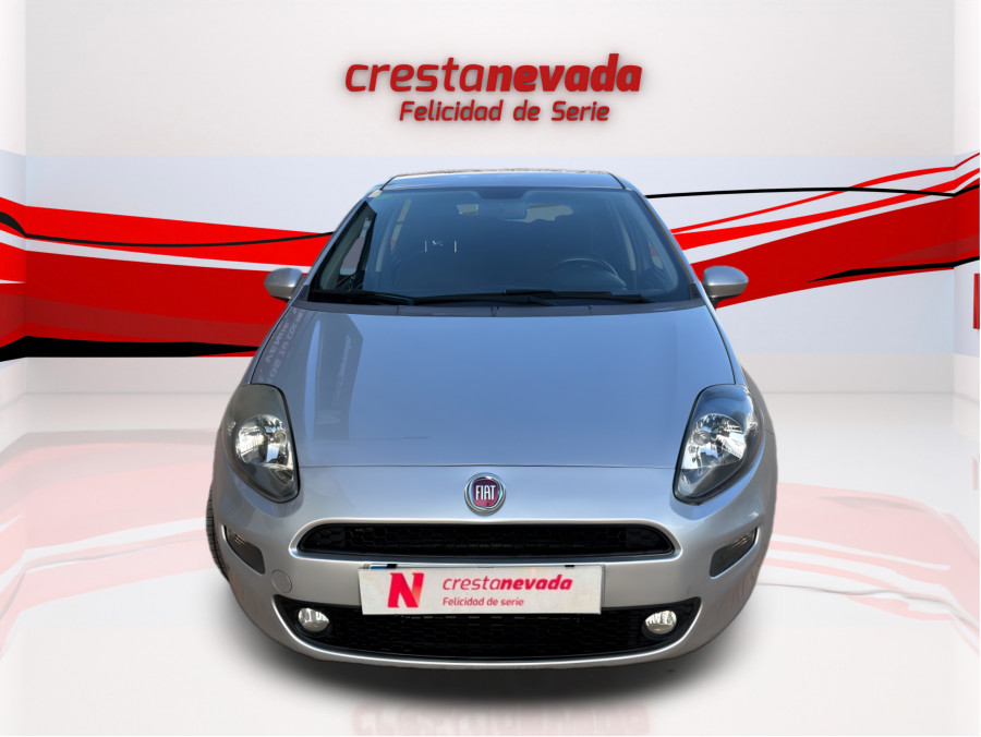 Imagen de Fiat Punto