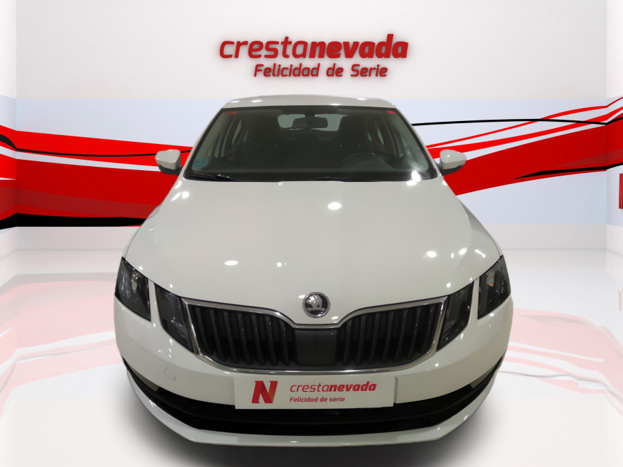 Imagen de Skoda Octavia