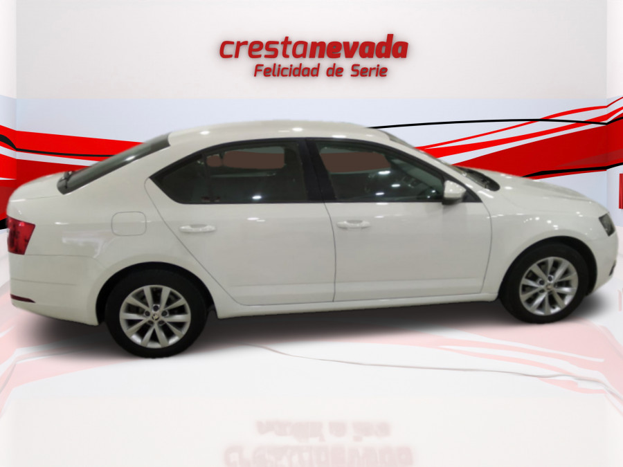 Imagen de Skoda Octavia