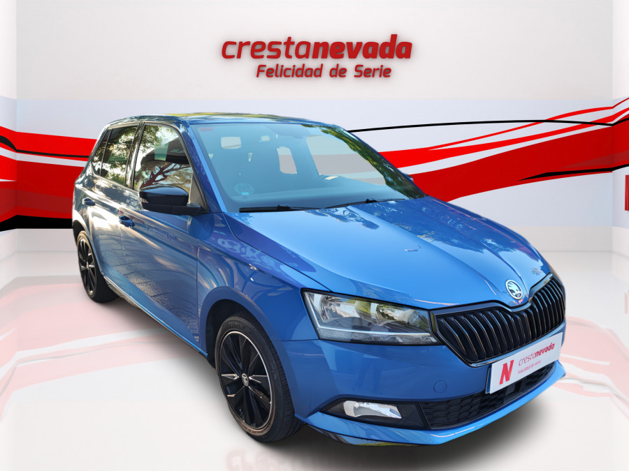 Imagen de Skoda Fabia