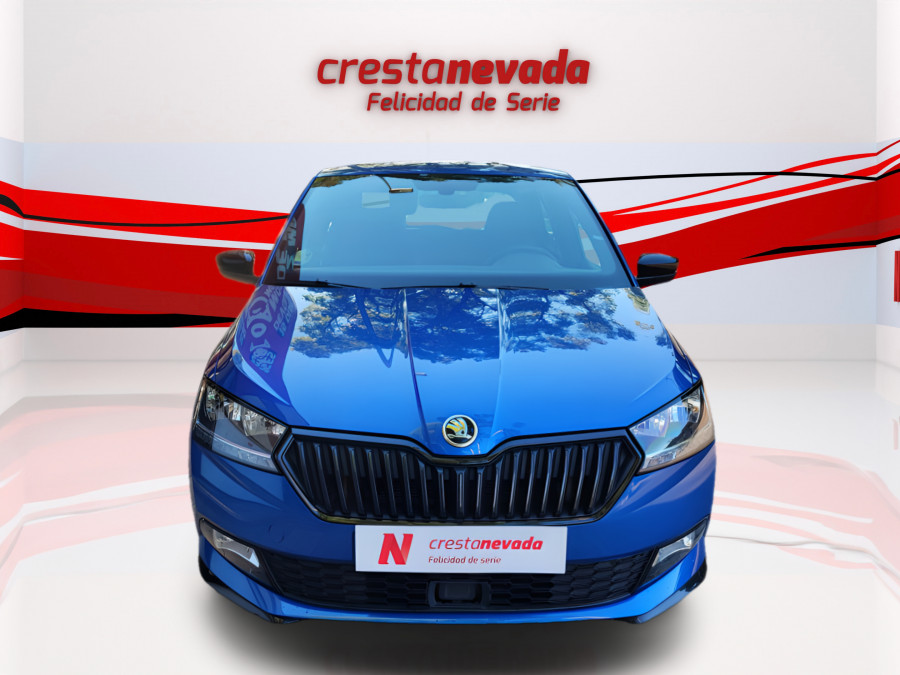 Imagen de Skoda Fabia